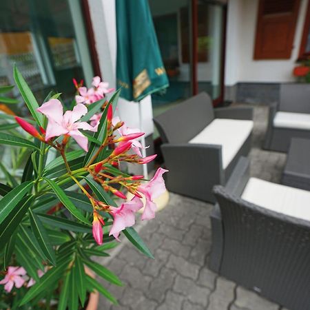 Landhotel Gasthof Zwota Klingenthal Extérieur photo