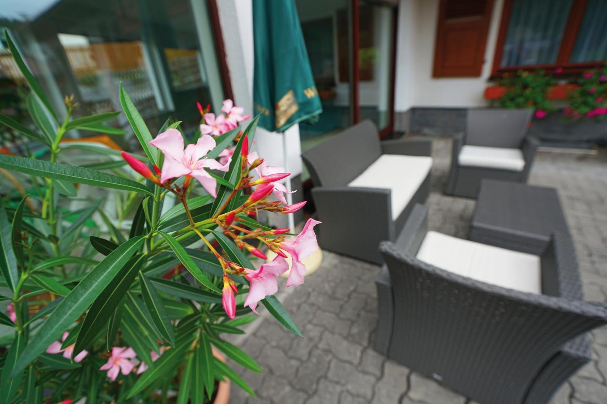 Landhotel Gasthof Zwota Klingenthal Extérieur photo