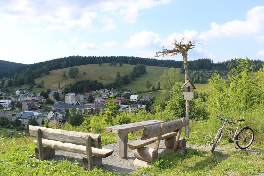 Landhotel Gasthof Zwota Klingenthal Extérieur photo